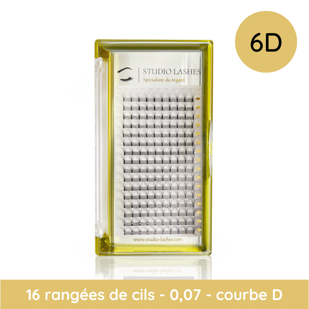 extension de cils volume russe 6d